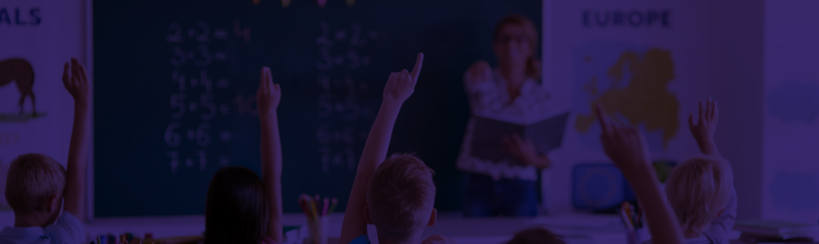 Principal - Geetanjali Vidyalaya